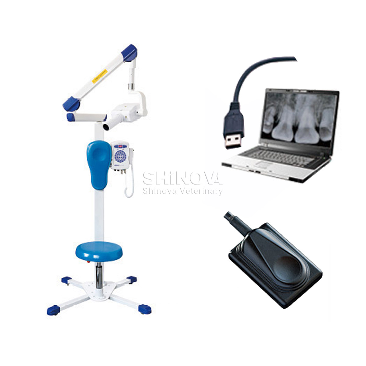 Sistema de Lmaging de Raio X Dental Dental (DRENT DR)