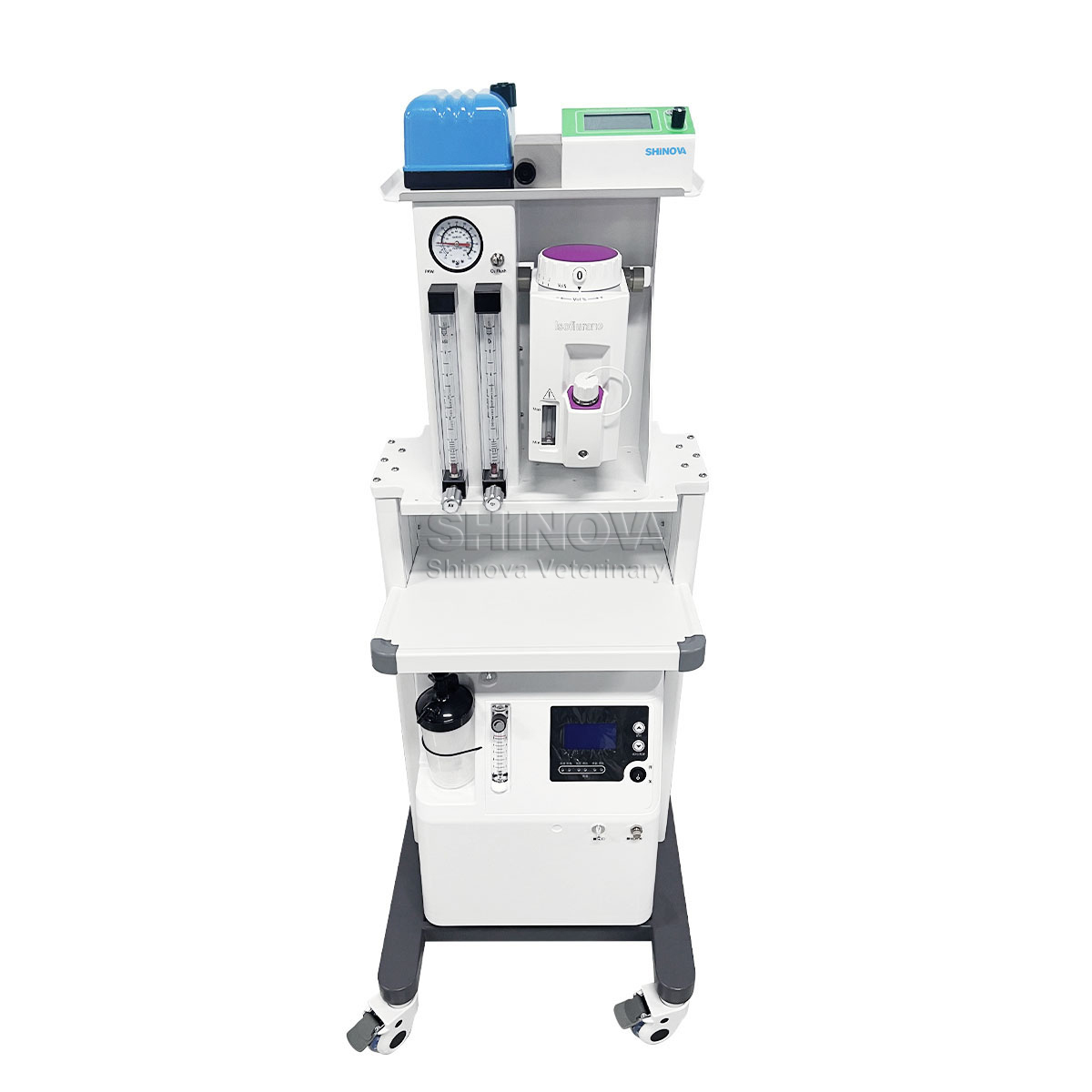 Máquina de anestesia animal exótica