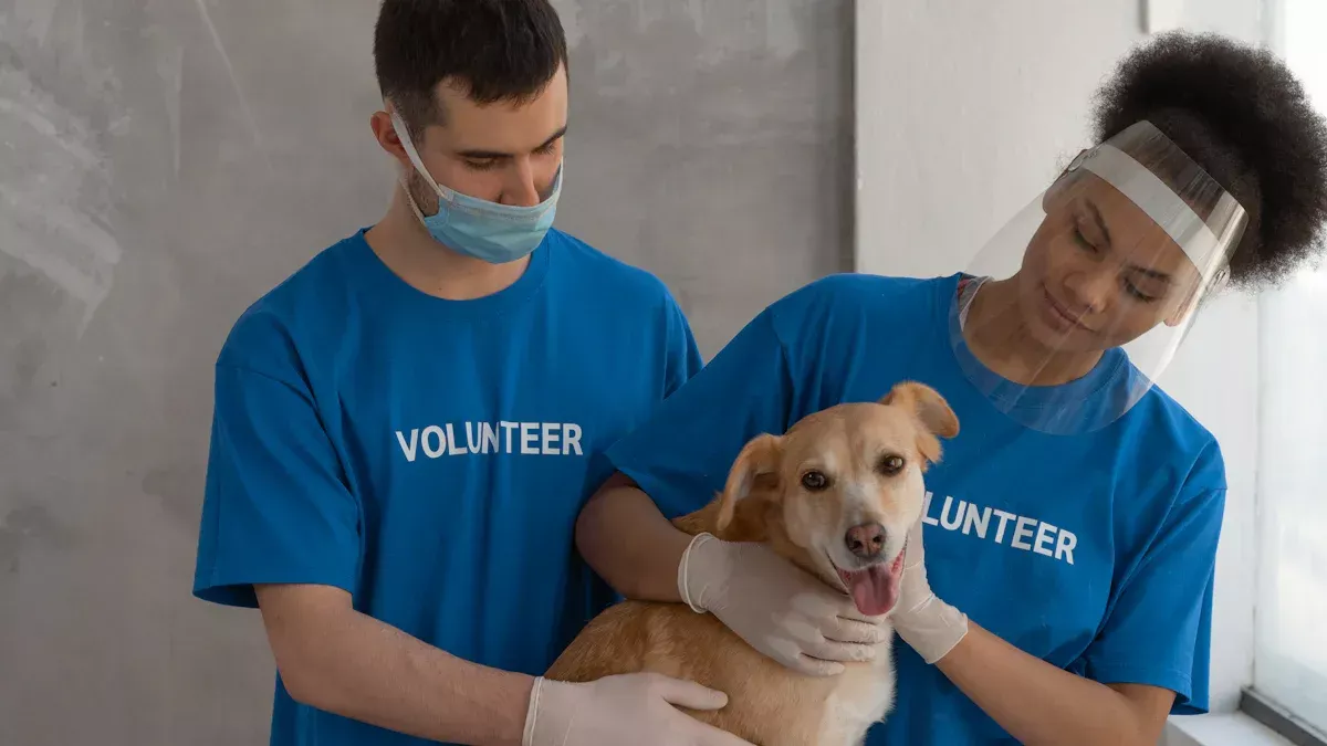 Ventilação mecânica em anestesia canina/felina: modos, volume de marés e alarmes