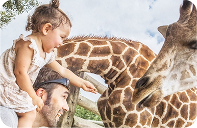 Soluções para zoológicos