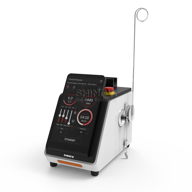 Sistema de terapia a laser de diodo veterinário portátil