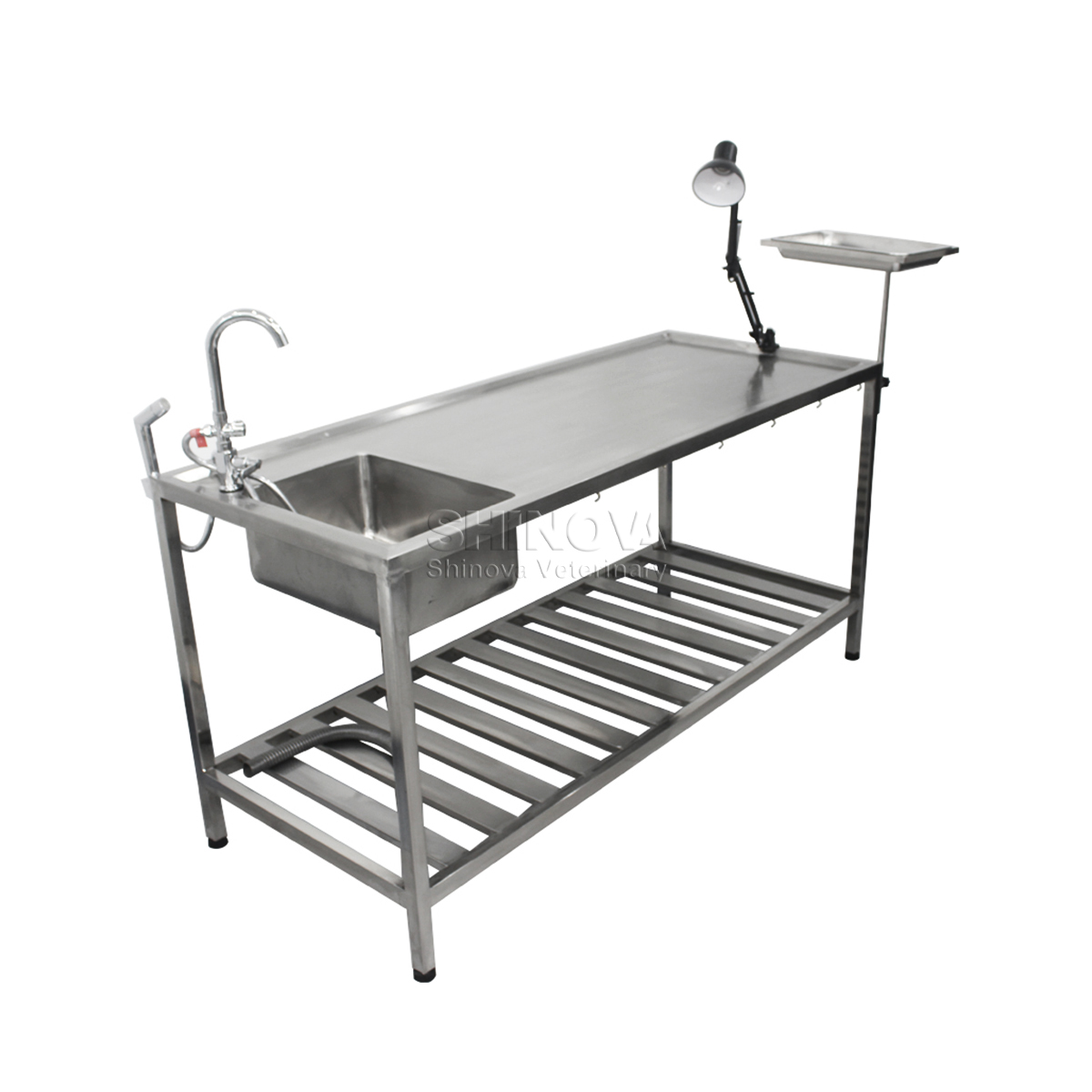 Tabela de dissecção de animais de aço inoxidável