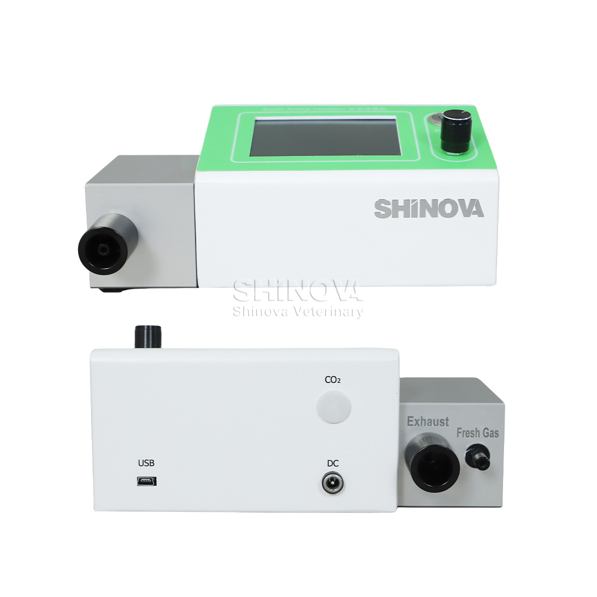 Ventilador de animais exóticos