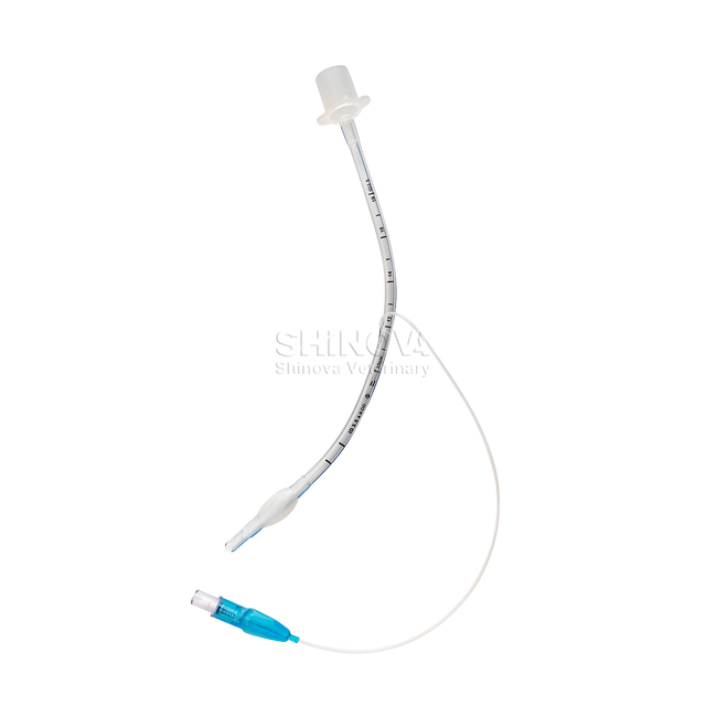 Tubo endotraqueal com manguito/sem punho