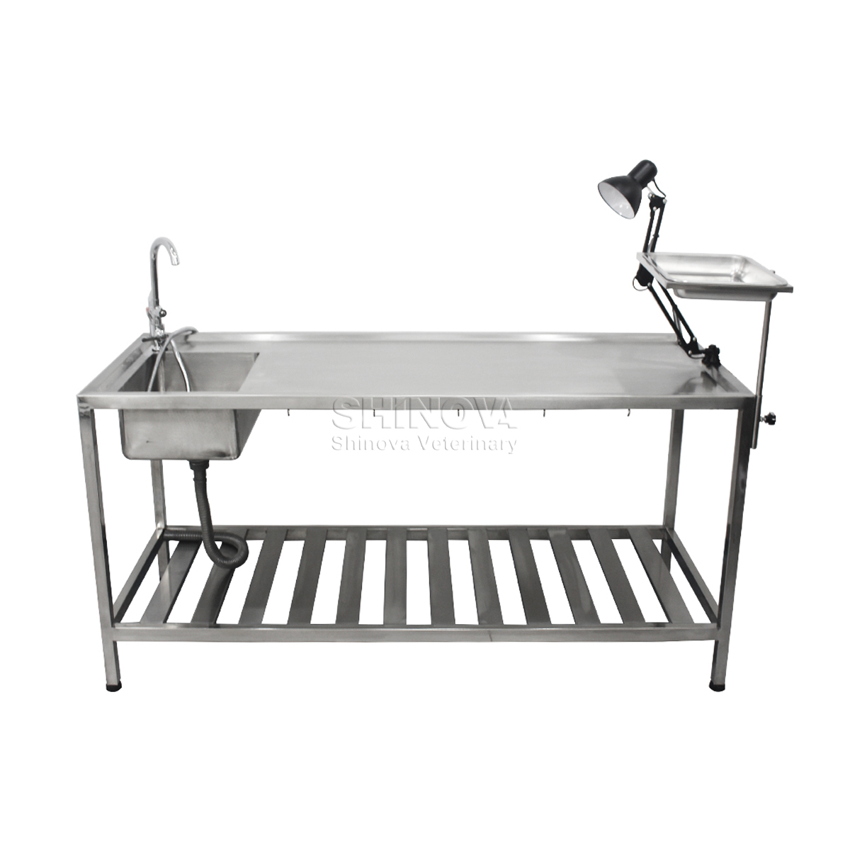 Tabela de dissecção de animais de aço inoxidável
