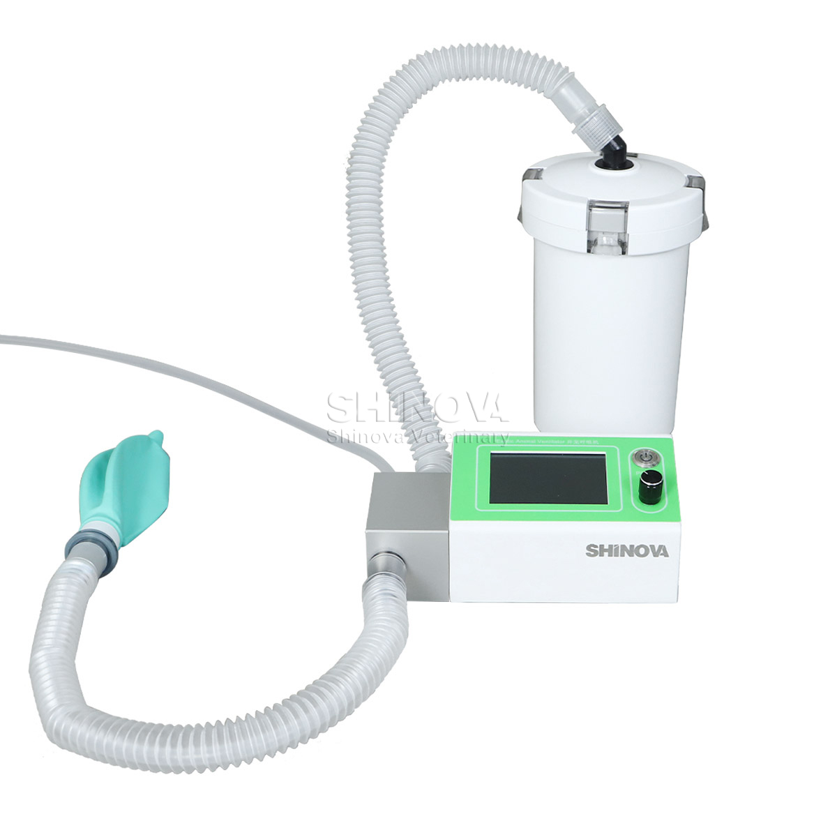 Ventilador de animais exóticos