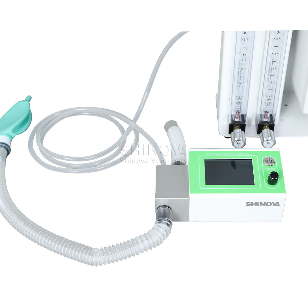 Ventilador de animais exóticos
