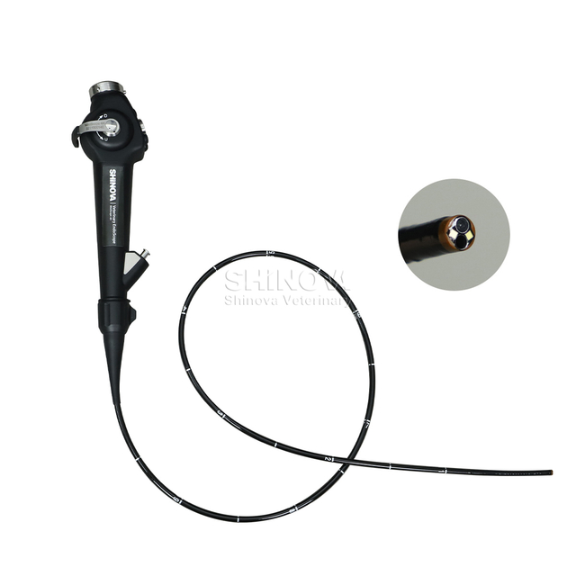 Endoscópio veterinário portátil (4,8 mm)
