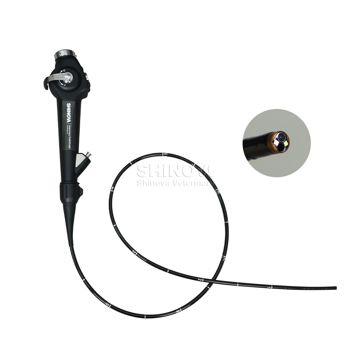Endoscópio veterinário portátil (4,8 mm)