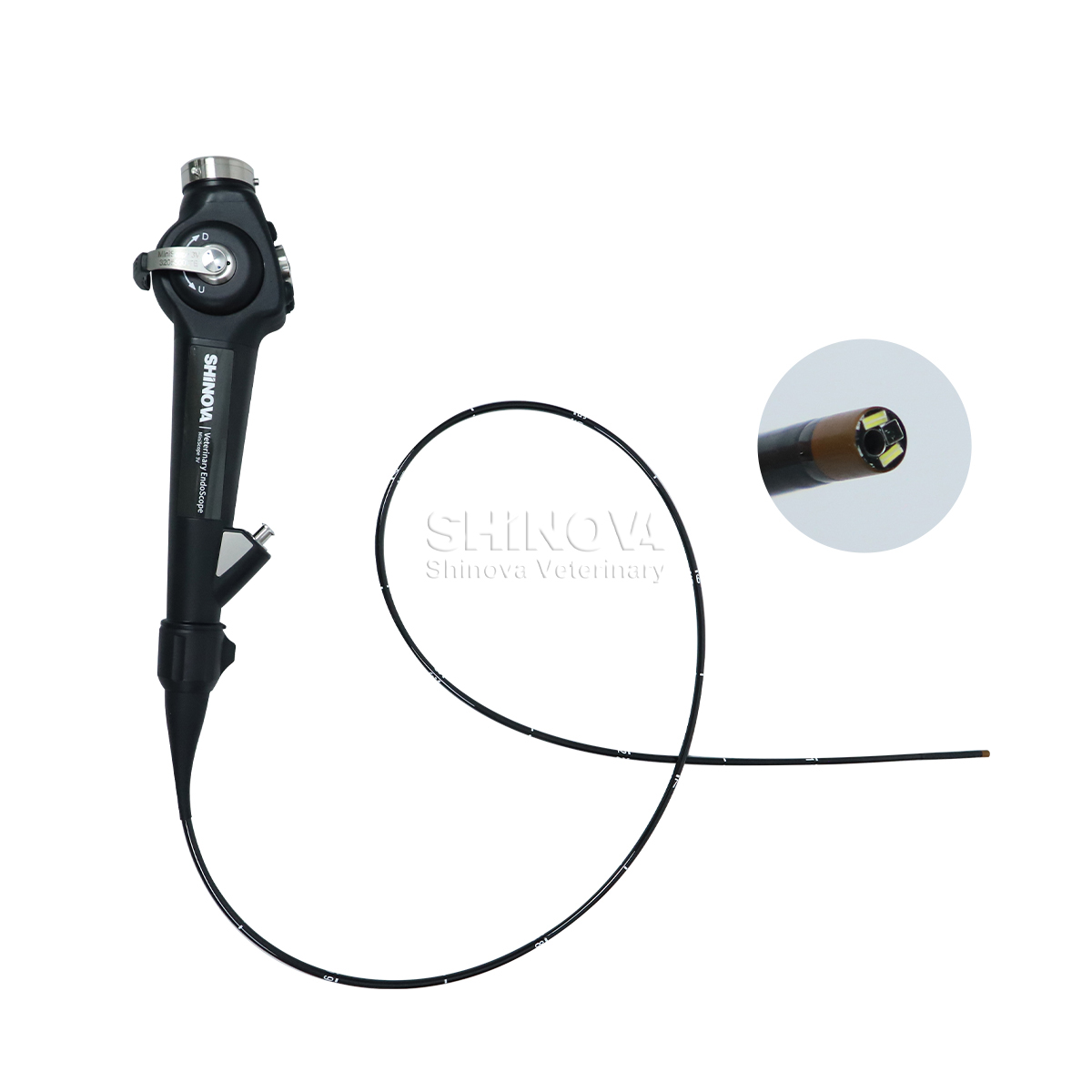 Endoscópio veterinário portátil (3,8 mm)