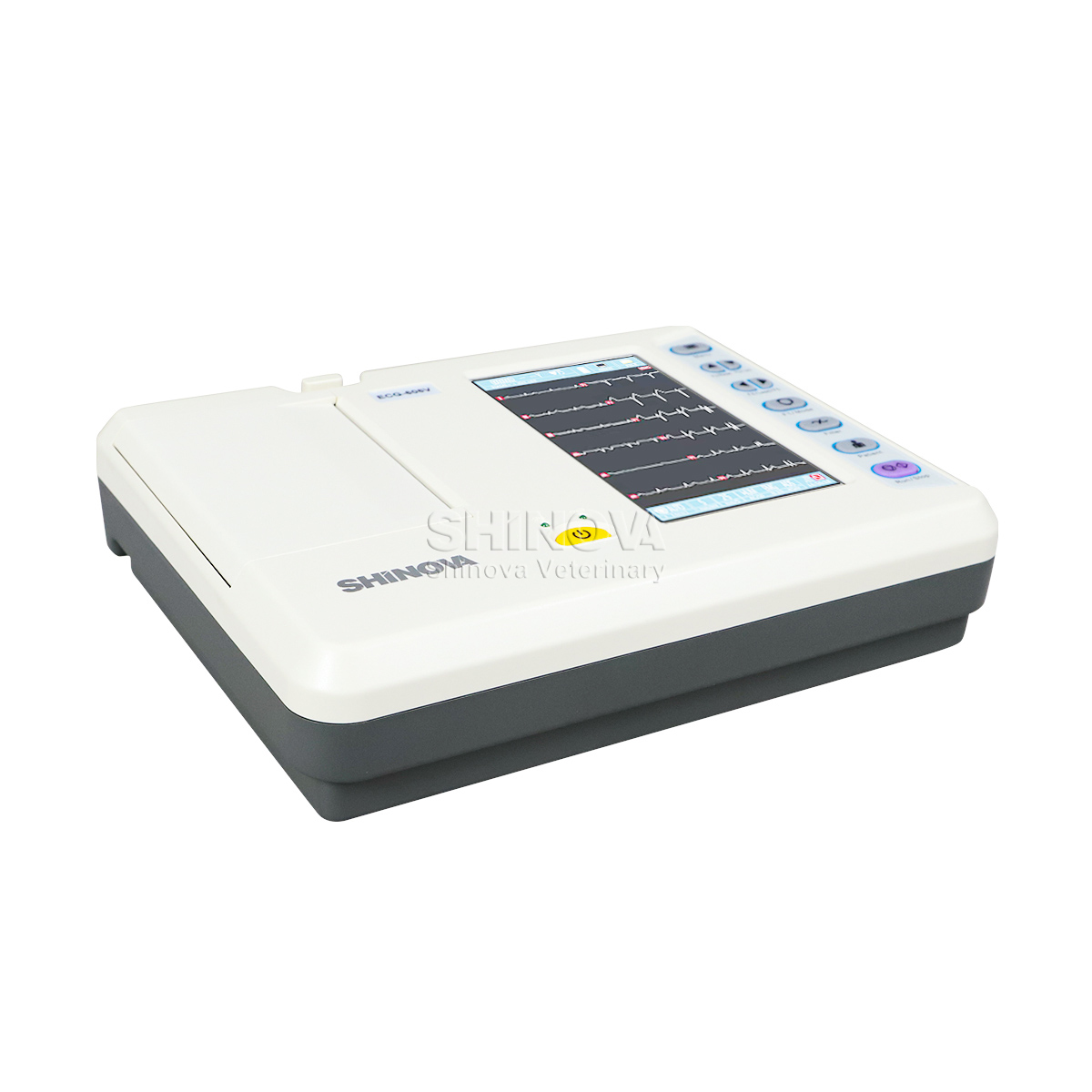 Eletrocardiagraph veterinário por portátil ECG