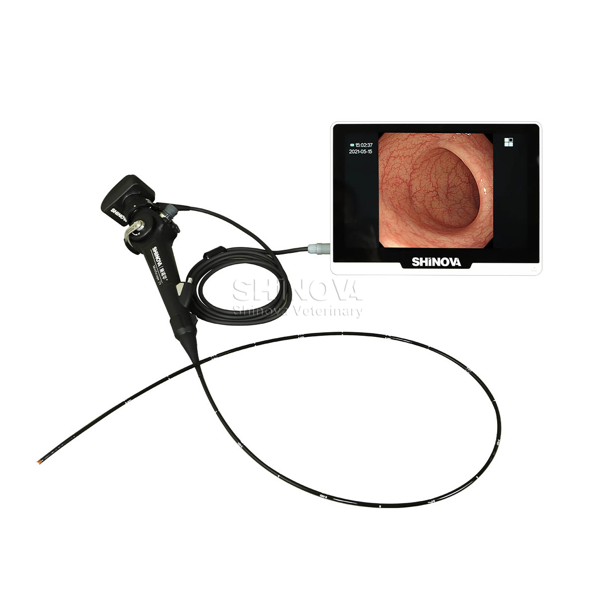 Endoscópio veterinário portátil (2,8 mm)
